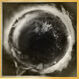 Lore Icon Legendary.jpg