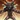 Lost Grigori Infused Attraction Ability Icon