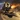 Ship-of-War Entity Icon
