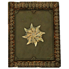 Book Falmer