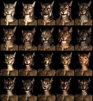 Khajiit tiger-men race face compilation.