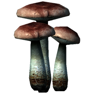 FlyAmanita.png