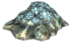 a cluster of chaurus eggs