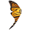 ButterflyWing.png