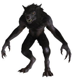 Werewolf.png