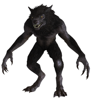 Werewolf