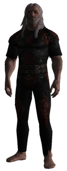 Arnbjorn