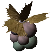 Jazbay Grapes - Skyrim Wiki