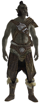 Dushnamub
