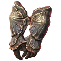 ChitinBracersofWielding