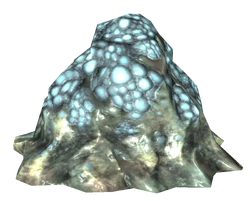 a cluster of chaurus eggs