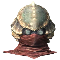 ChitinHelmet