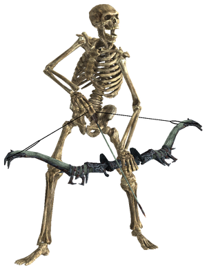 Skeleton