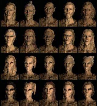Nord human race face compilation.