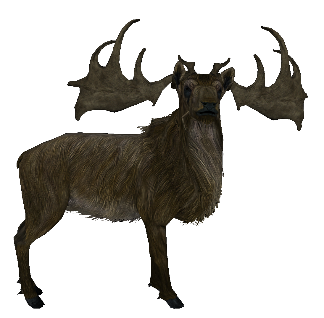 true elk of skyrim