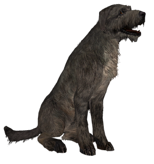 Dog.png