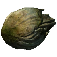 NordicBarnacle
