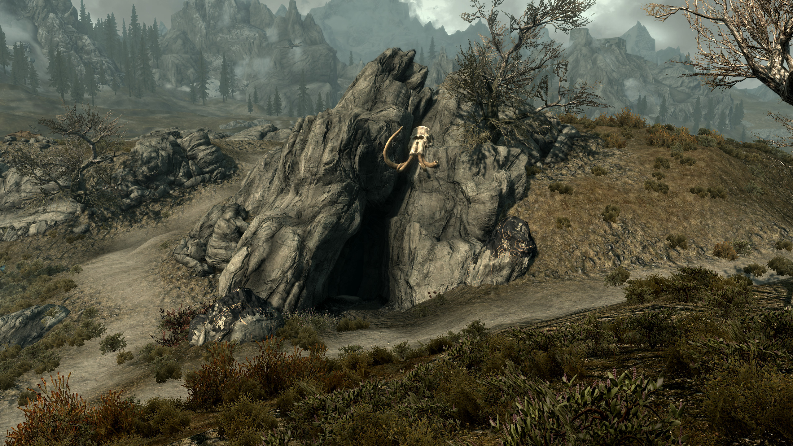 skyrim sleeping tree cave skyrim sleeping tree cave