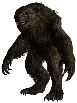 Werebear