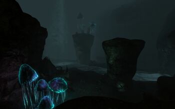 DarkfallGrotto