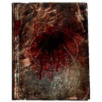 Book MalynVarensGrimoire