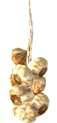 Garlic braid