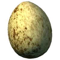HawksEgg