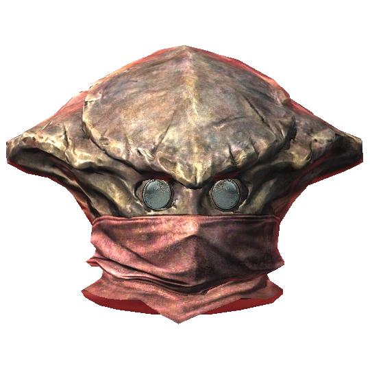 Chitin Helmet of Waterbreathing Skyrim Wiki