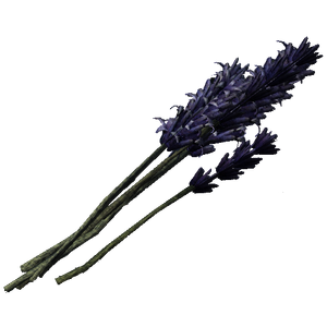 Lavender.png