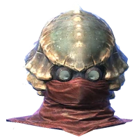 ChitinHelmetofAlchemy