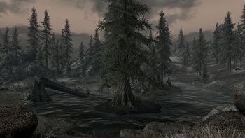 ClearpinePond.jpg