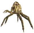Dwarven Spider