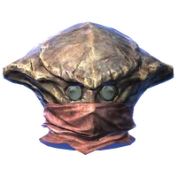 ChitinHeavyHelmetofRestoration