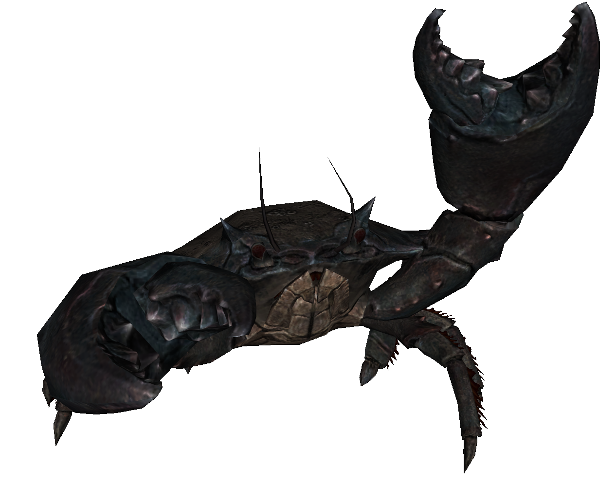 Pincer is a unique mudcrab which can be given as a pet to adopted boys (not...