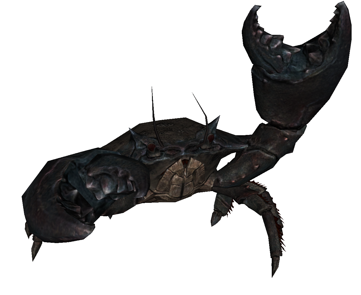 mudcrab-skyrim-wiki