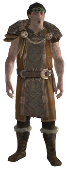 Siddgeir