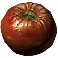 Tomato