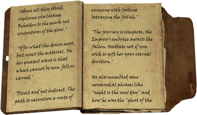 "Above all they stand, vigilance everlasting. Beholden to the murk yet contentious of the glow." / "Offer what She desires most, but reject the material. For her greatest want is that which cannot be seen, felt or carried." / "Direct and yet indirect. The path to salvation a route of cunning with fortune betraying the foolish." / "The journey is complete, the Empress's embrace awaits the fallen. Hesitate not if you wish to gift her your eternal devotion." / He also mumbled some nonsensical phrases like "night is the new day" and how he was the "ghost of the