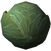 Cabbage
