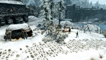 KhajiitCaravan Windhelm