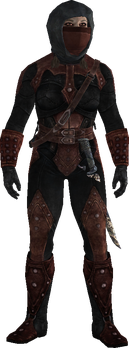 DarkBrotherhoodInitiate female