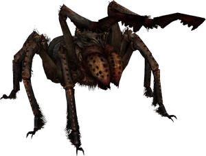 FrostbiteSpider