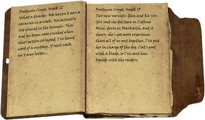 Frostmere Crypt, Week 12 / What a disaster. We haven't seen a caravan in a week. We actually lost ground in the tunnels- Thal and his team were crushed when their section collapsed. I've heard word of a mutiny. If next week isn't any better... / Frostmere Crypt, Week 13 / Two new recruits- Eisa and Ra'jirr. Girl said she did time in Cidhna Mine, down in Markarth, and it shows- she's got more experience than all of us put together. I've put her in charge of the dig. Cat's good with a blade, so I've sent him topside with the raiders.