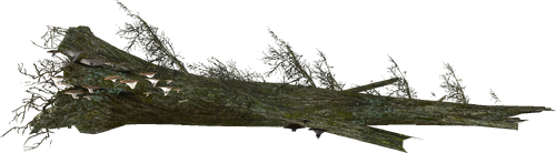 Plant MoraTapinella.png