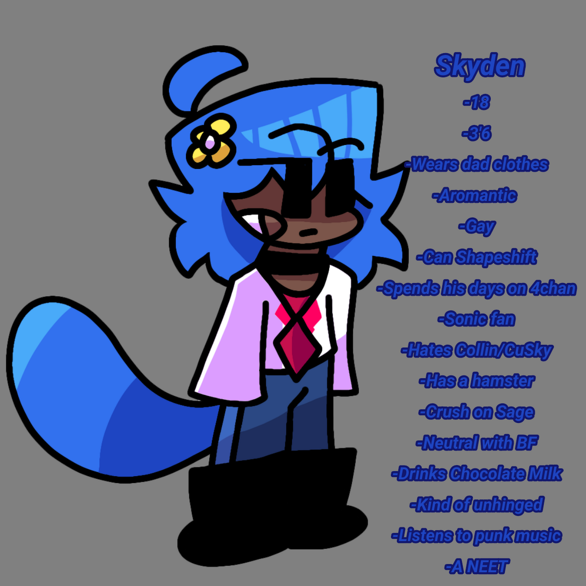 Skyden | Skyverse Wiki | Fandom