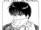 Chapter 13