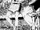 Chapter 120