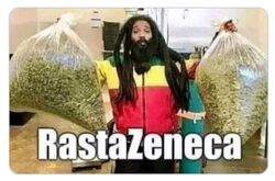 Rasta zeneka.jpg
