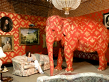 Ελέφαντας στο δωμάτιο