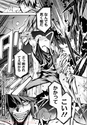Samejima Kouki Byakusa Spear